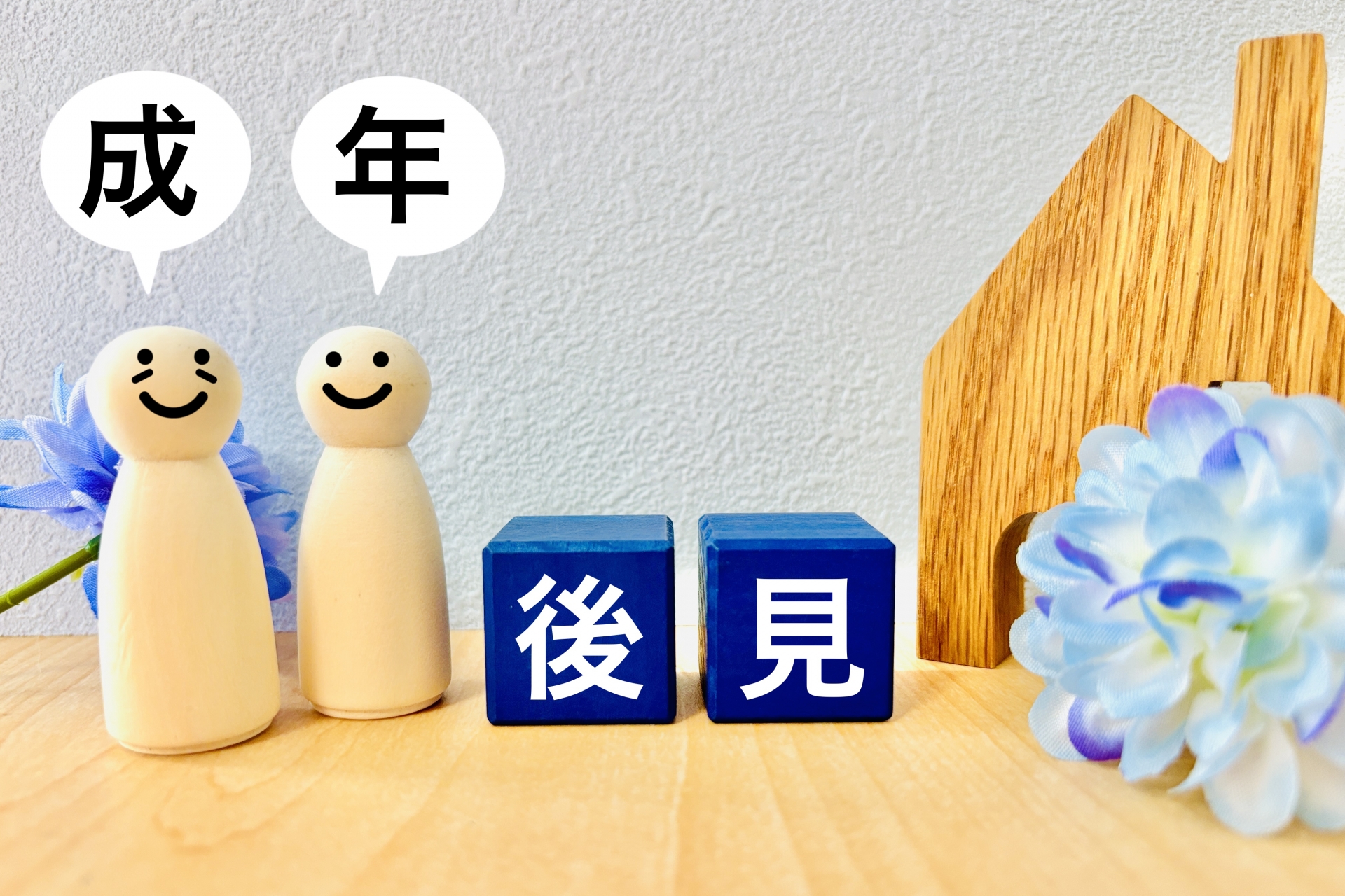 後見人制度の見直しなど【法律の改正】