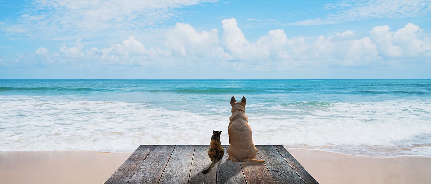 ゆいごん・そうぞくのお役立ち情報